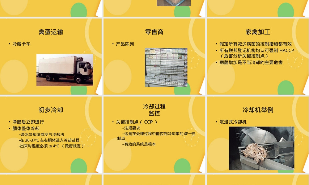 家禽业冷链管理PPT课件.ppt