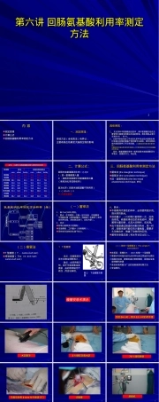 回肠氨基酸利用率测定方法PPT课件.ppt