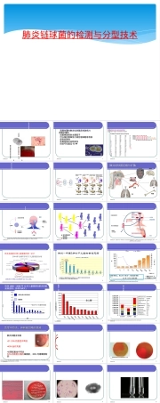 肺炎链球菌检测与分型技术PPT课件.ppt