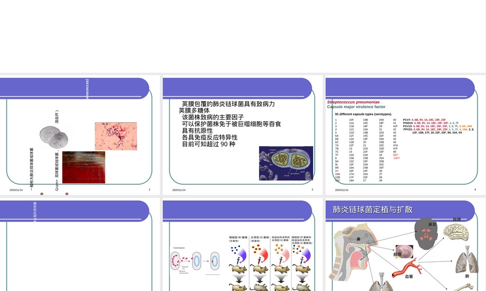 肺炎链球菌检测与分型技术PPT课件.ppt