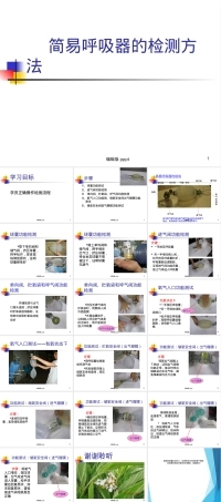 简易呼吸器的检测方法PPT课件.ppt