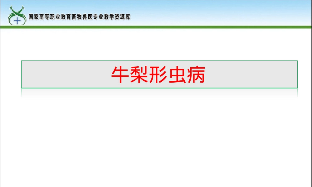 牛梨形虫病防治教学PPT课件.ppt