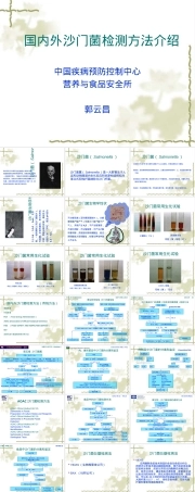 国内外沙门氏菌检测方法PPT课件.ppt