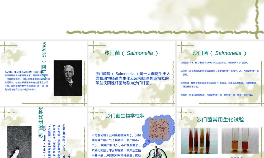 国内外沙门氏菌检测方法PPT课件.ppt