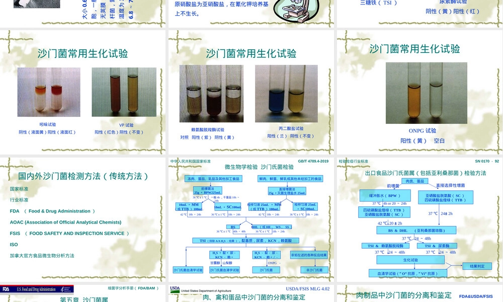 国内外沙门氏菌检测方法PPT课件.ppt