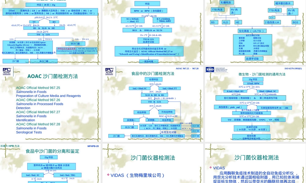 国内外沙门氏菌检测方法PPT课件.ppt