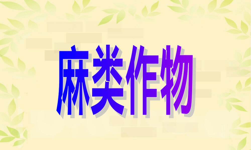 麻类作物PPT课件教学版.ppt