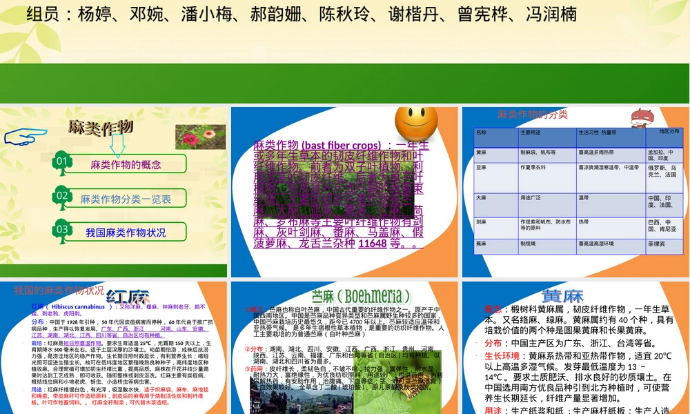 麻类作物PPT课件教学版.ppt