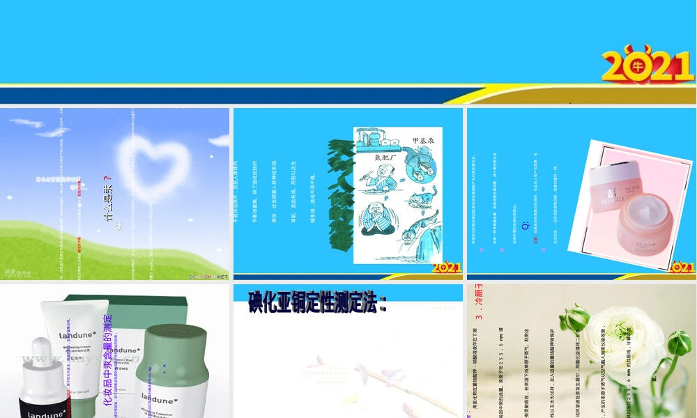 化妆品中汞的认识与检测优秀PPT常用资料.ppt