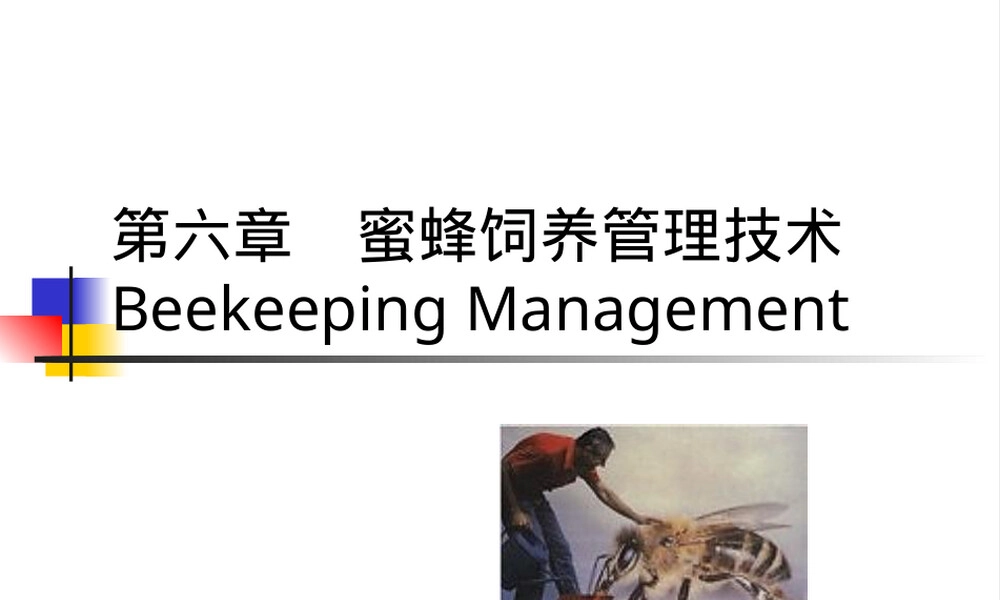 蜜蜂饲养管理技术教学PPT课件.ppt