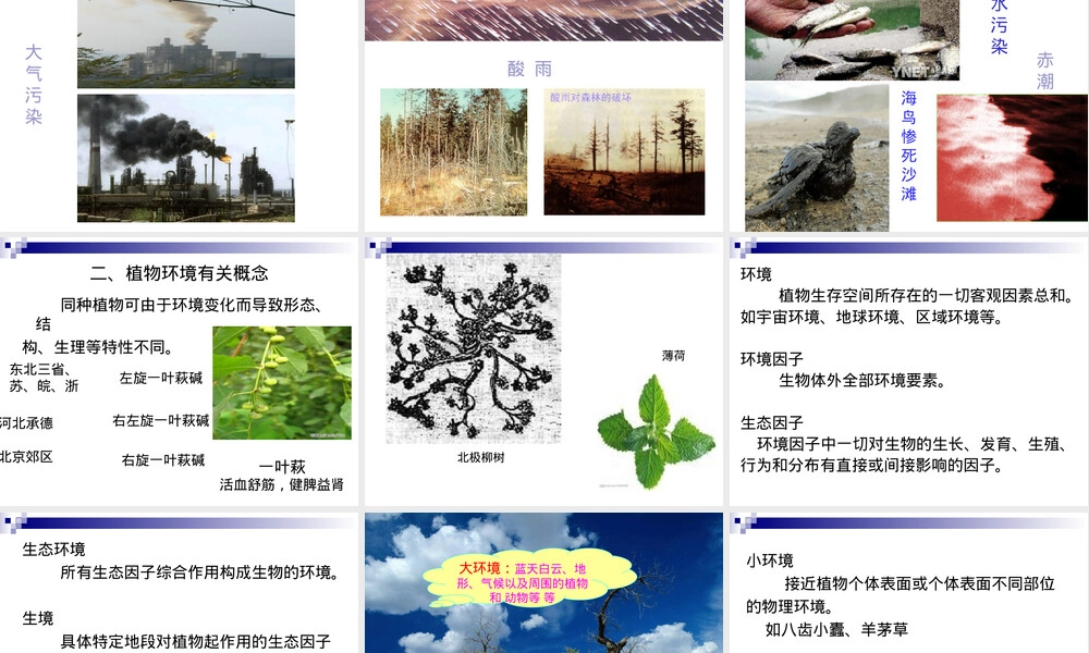 环境与生态因子教学PPT课件.ppt