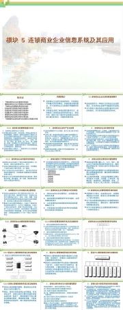 连锁商业企业信息系统及其应用PPT课件.ppt
