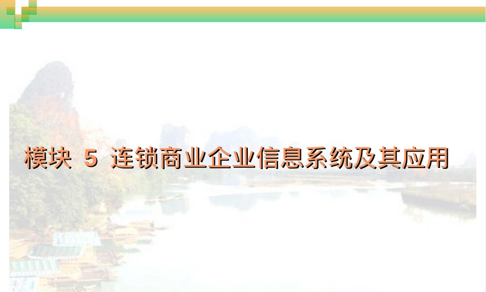 连锁商业企业信息系统及其应用PPT课件.ppt