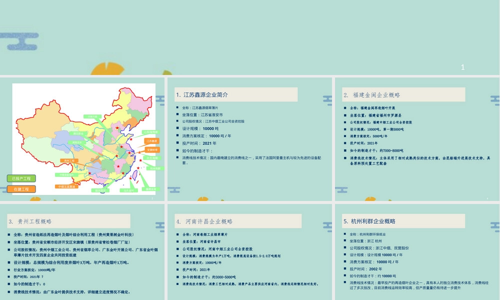 国内造纸法再造烟叶企业简介PPT课件.pptx