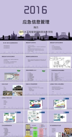 国内外应急管理信息系统PPT课件.ppt