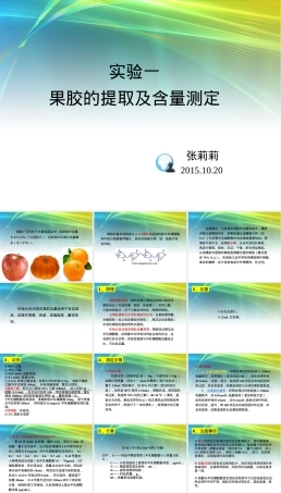 实验1果胶提取与含量测定PPT课件.ppt
