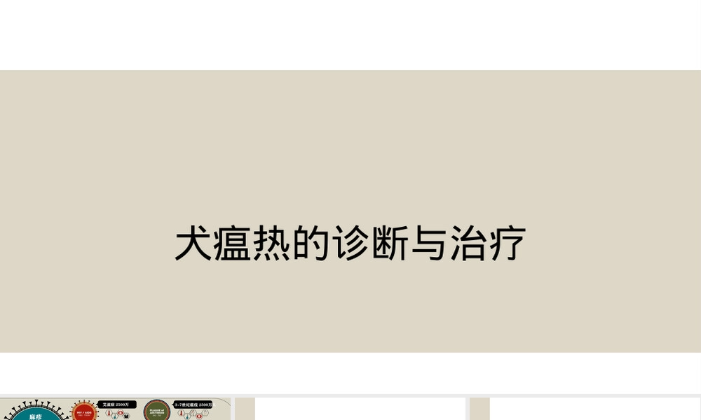 犬瘟热诊断与治疗PPT课件.pptx