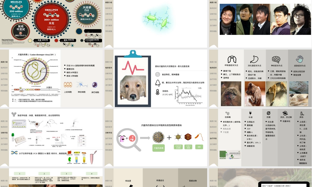 犬瘟热诊断与治疗PPT课件.pptx