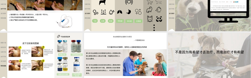 犬瘟热诊断与治疗PPT课件.pptx
