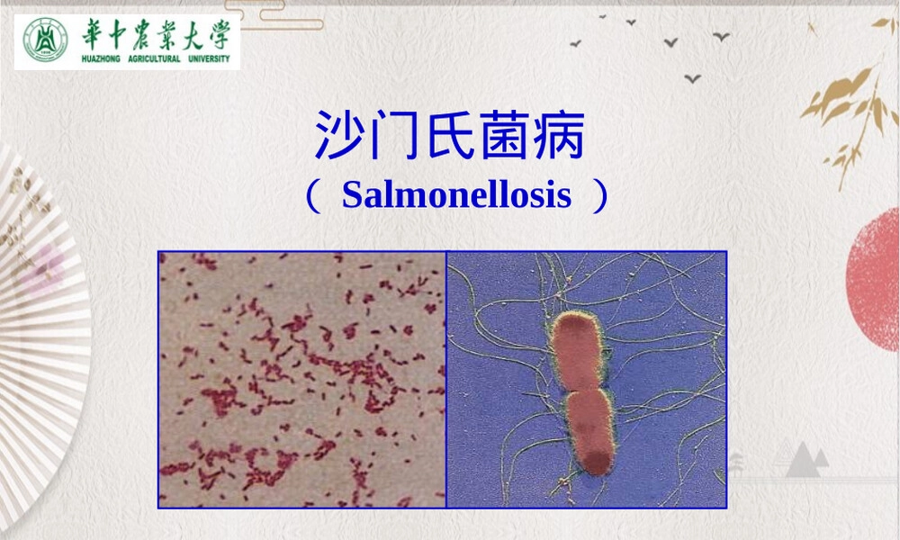 沙门氏菌病动物传染病教学PPT课件.pptx