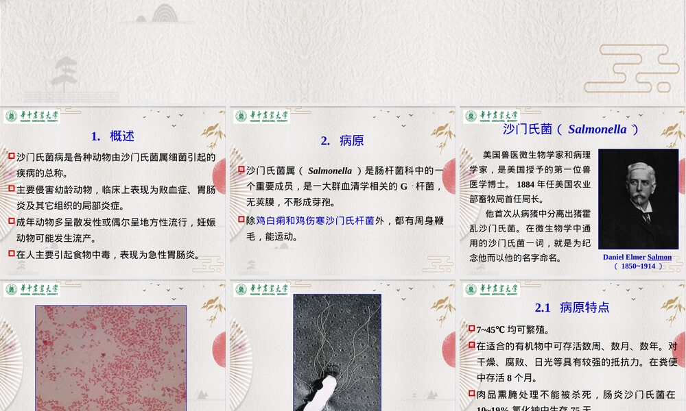 沙门氏菌病动物传染病教学PPT课件.pptx