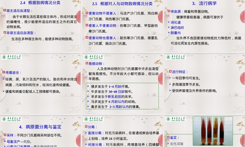 沙门氏菌病动物传染病教学PPT课件.pptx