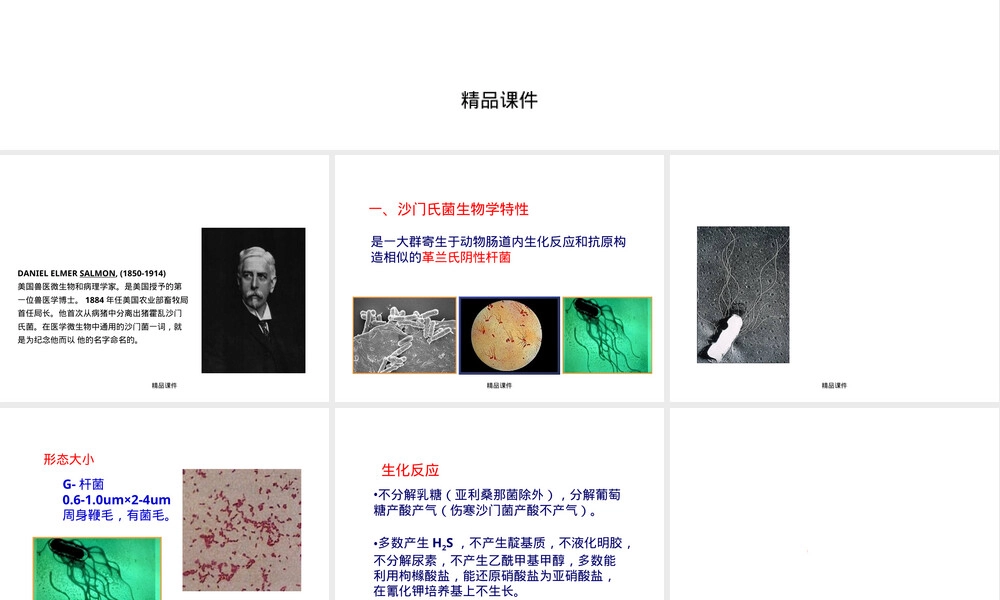 沙门菌检验技术PPT课件.ppt