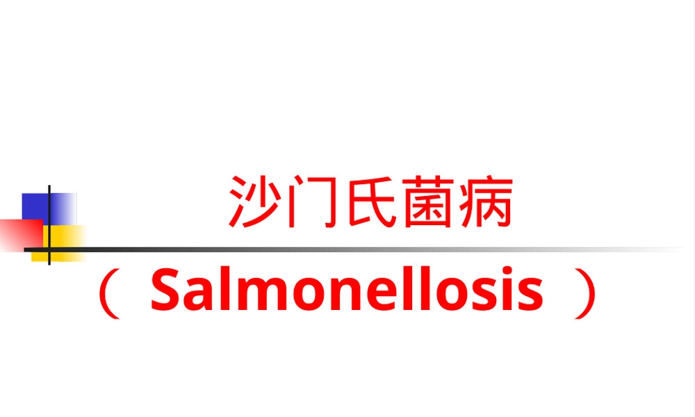 沙门氏菌病护理教学PPT课件.ppt