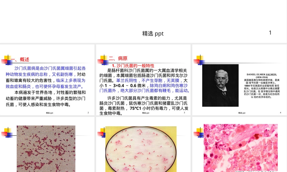 沙门氏菌病护理教学PPT课件.ppt