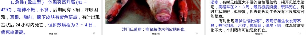 沙门氏菌病护理教学PPT课件.ppt