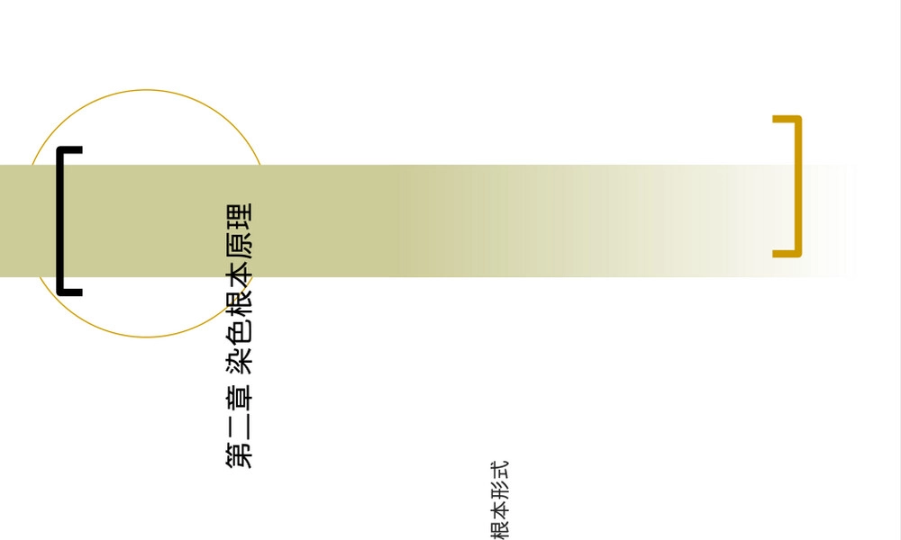 染色基本原理教学PPT课件.ppt
