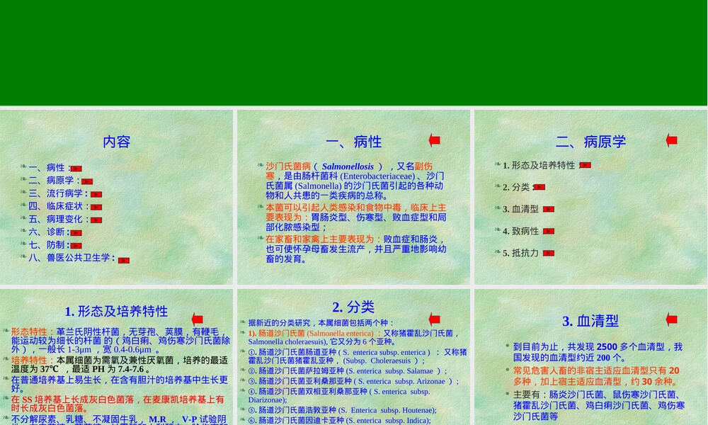沙门氏菌病教学PPT课件.ppt