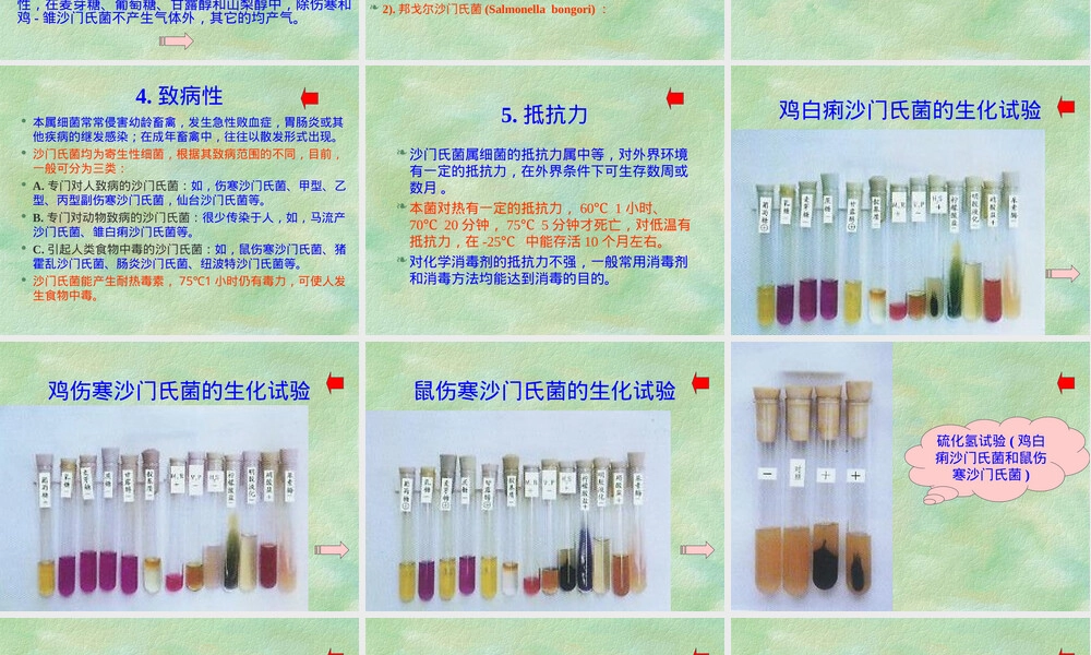沙门氏菌病教学PPT课件.ppt