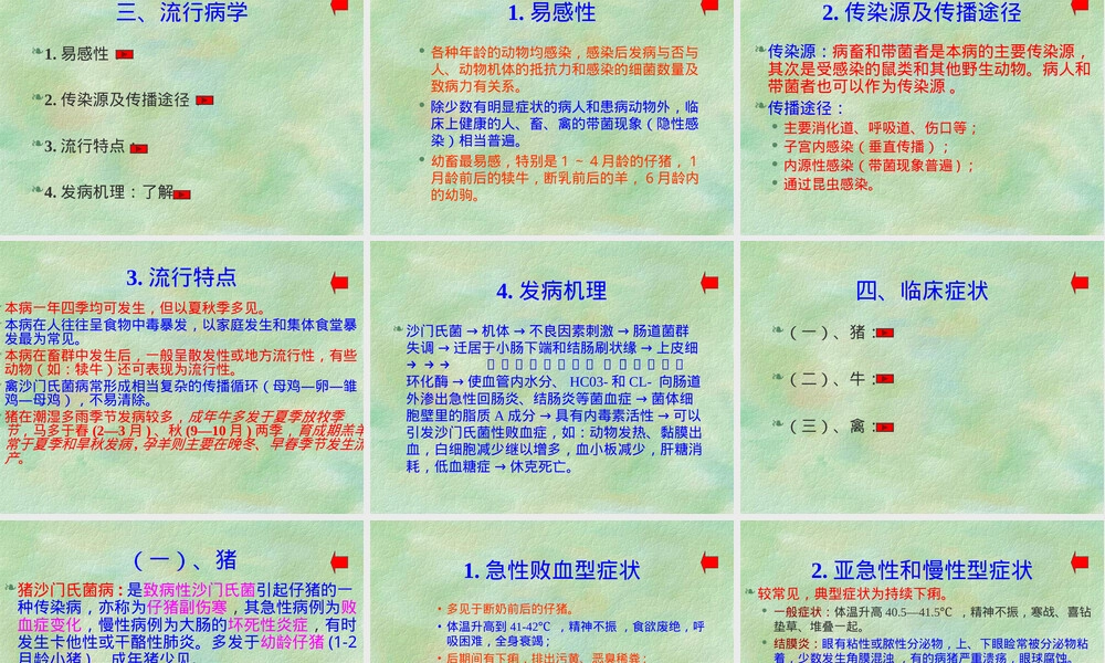 沙门氏菌病教学PPT课件.ppt