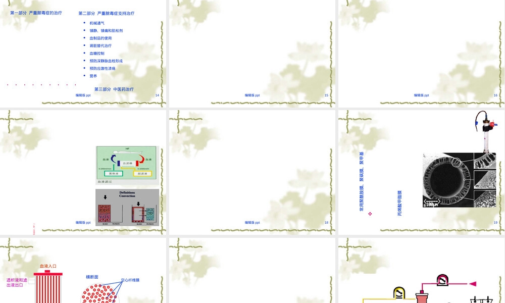 脓毒症血液净化治疗教学PPT课件.ppt