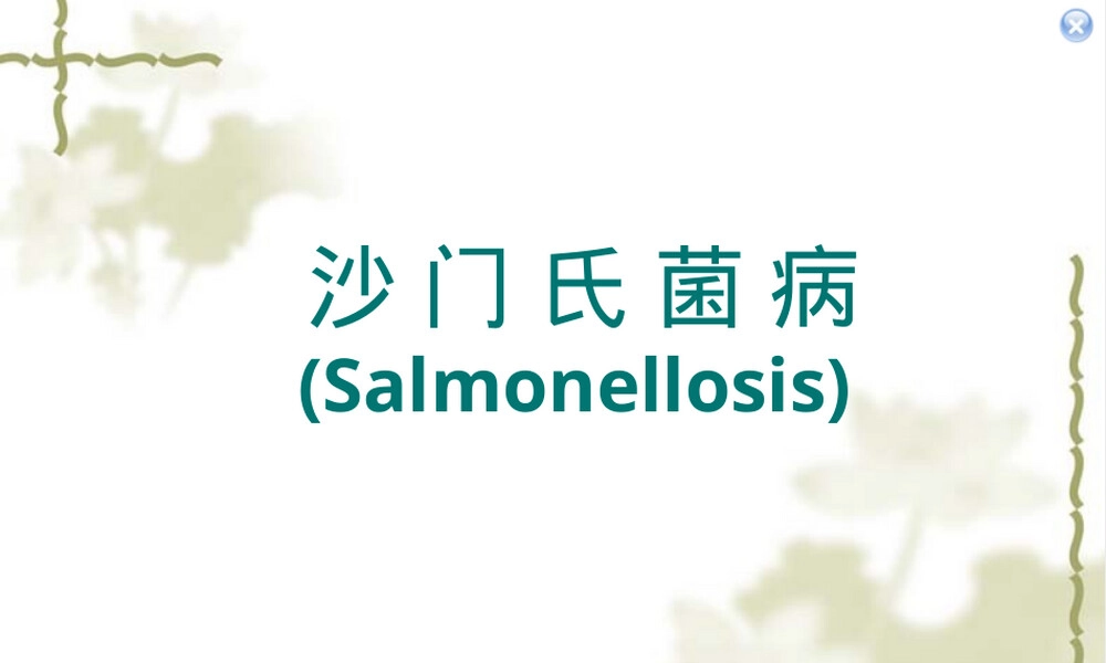 沙门氏菌病护理查房PPT课件.ppt