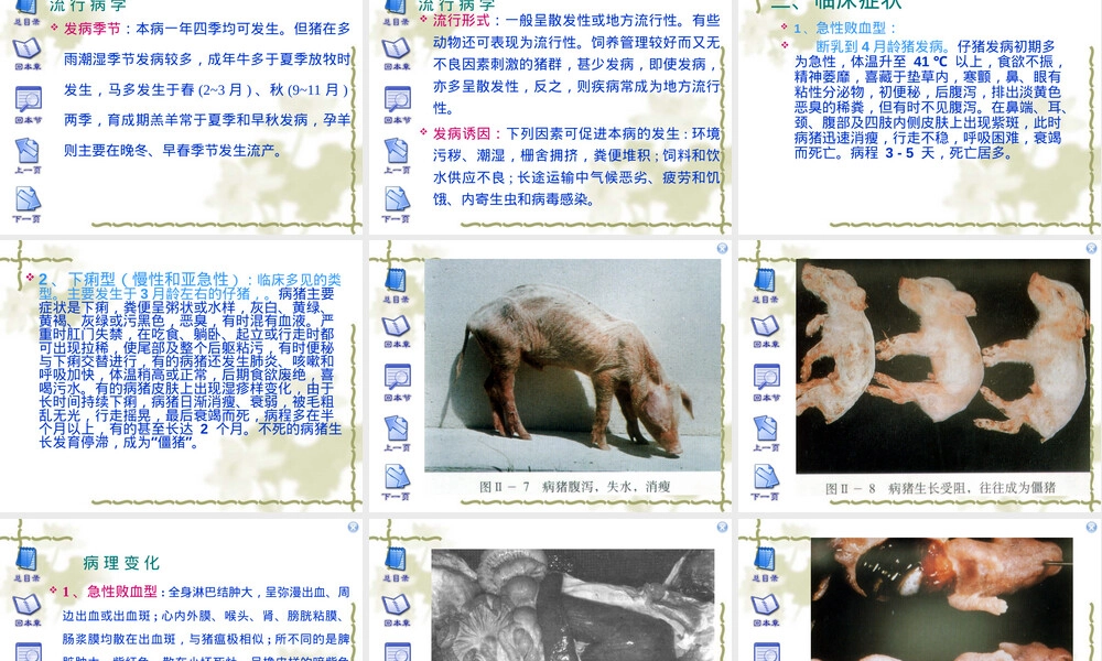 沙门氏菌病护理查房PPT课件.ppt