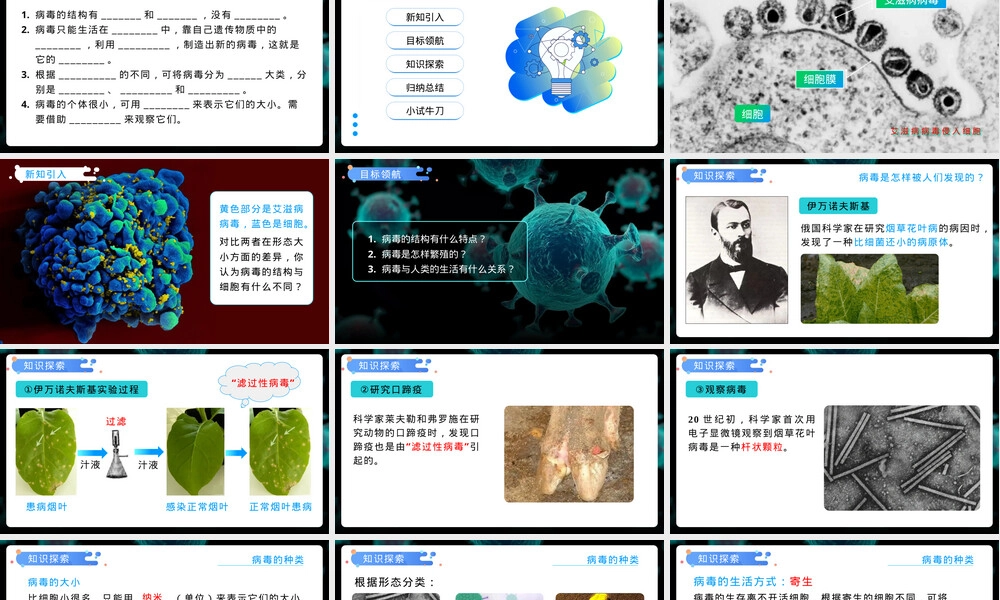病毒人教版八年级生物上册教学PPT课件.pptx