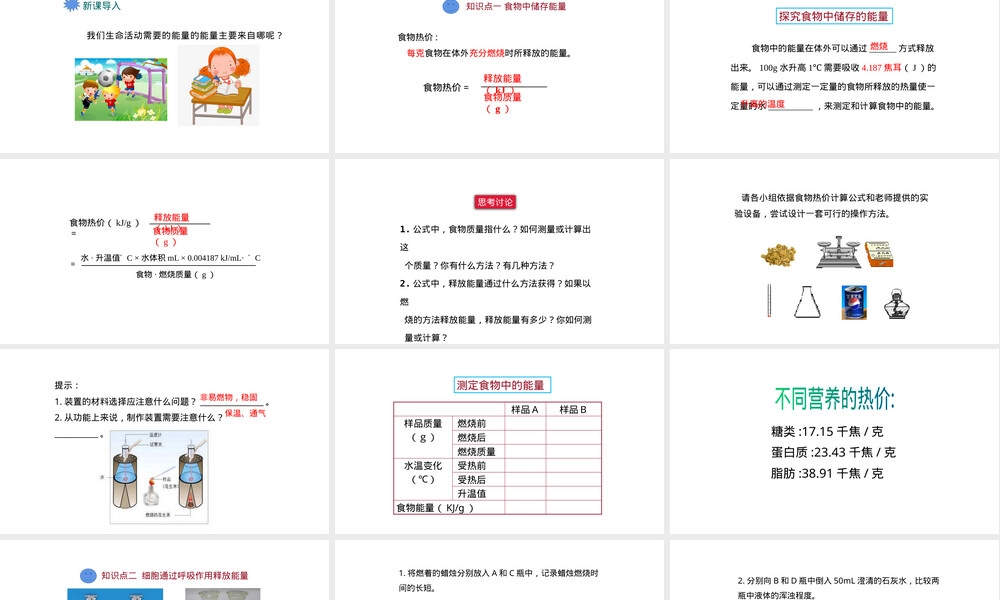 北师大版七年级下册人体的能量供应教学PPT课件.pptx