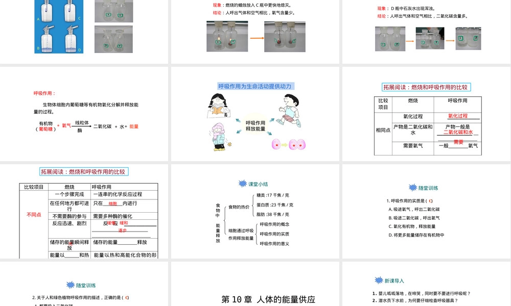 北师大版七年级下册人体的能量供应教学PPT课件.pptx
