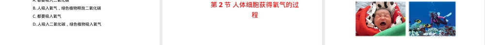 北师大版七年级下册人体的能量供应教学PPT课件.pptx
