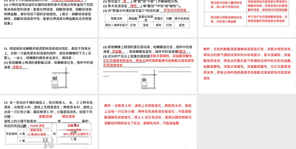 第十单元酸碱定义与指示剂教学PPT课件人教版.pptx