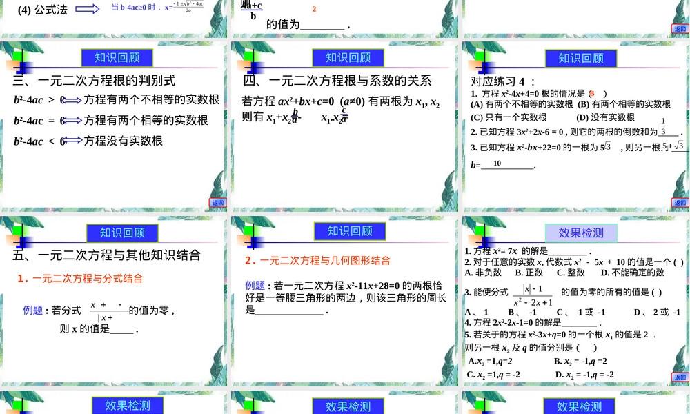北师大版九年级上册一元二次方程复习PPT课件 副本2.ppt
