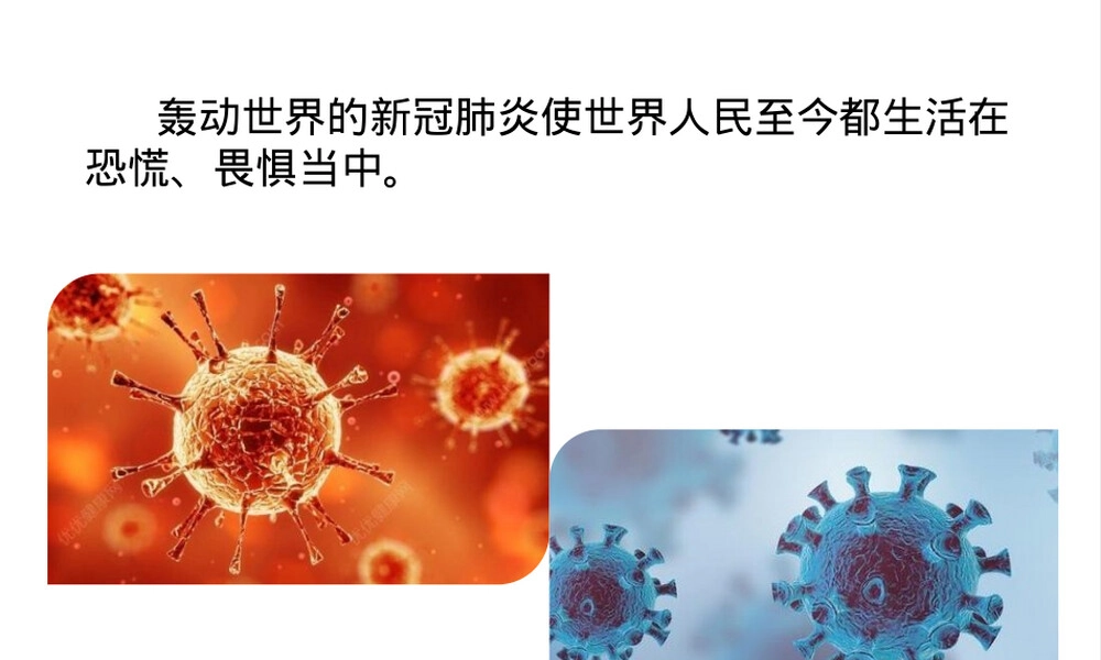 病毒人教版八年级生物上册教学PPT课件 副本1.pptx