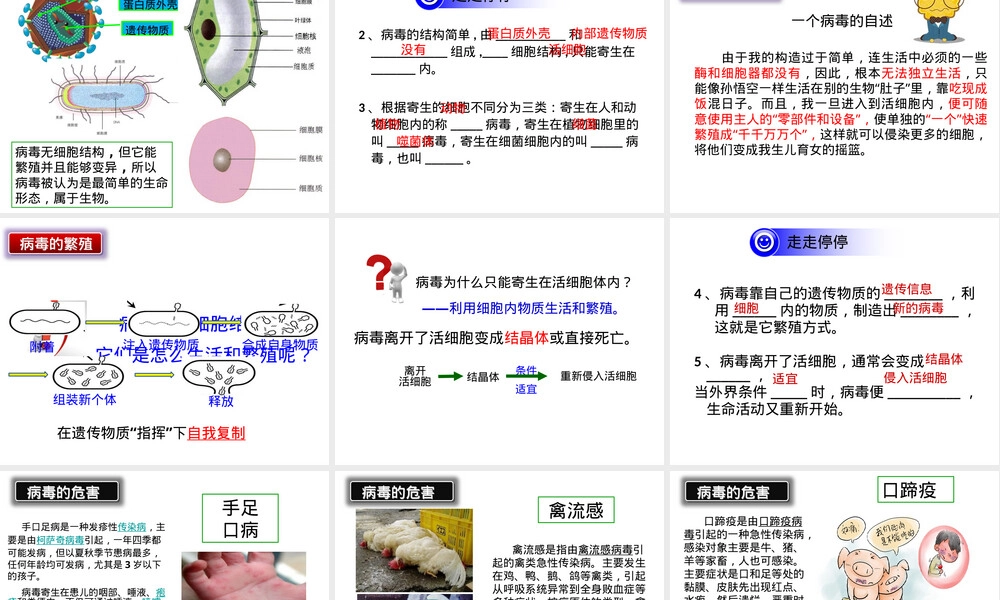 病毒人教版八年级生物上册教学PPT课件 副本1.pptx