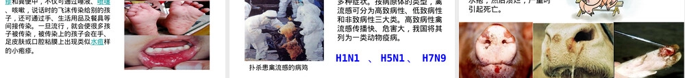 病毒人教版八年级生物上册教学PPT课件 副本1.pptx
