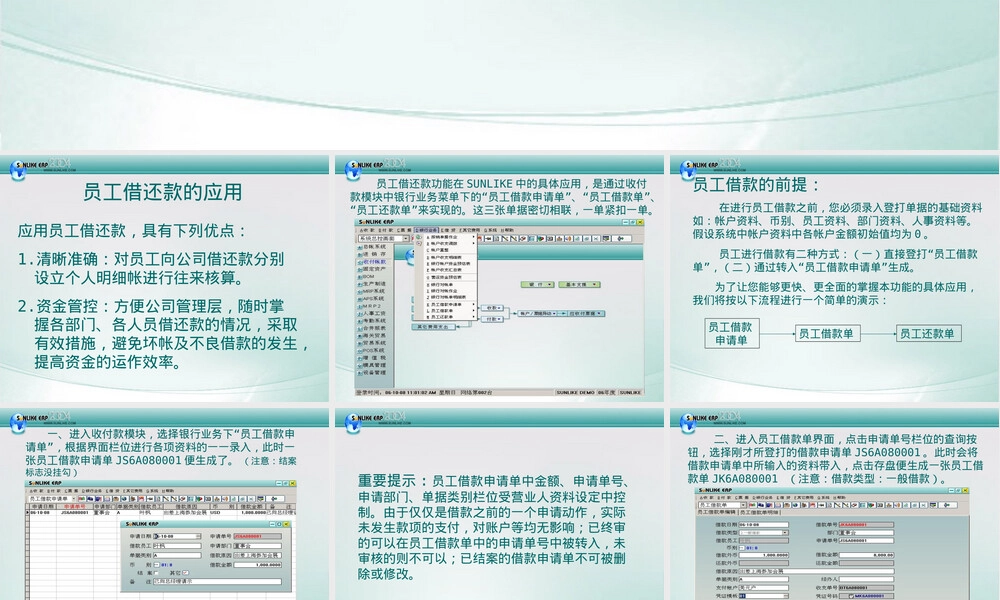 Sunlike ERP员工借还款管理PPT课件.ppt
