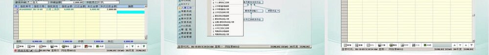 Sunlike ERP员工借还款管理PPT课件.ppt