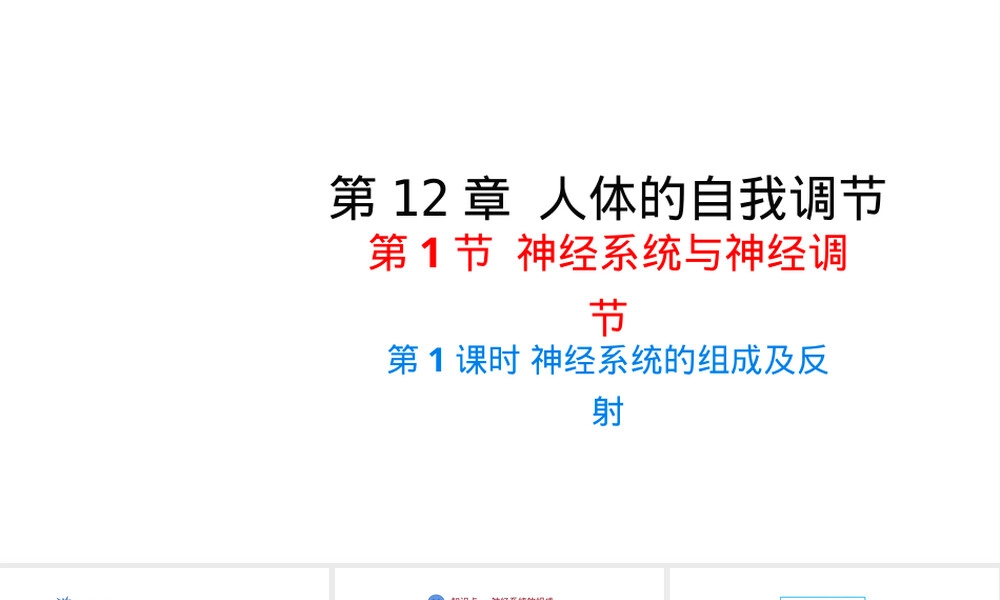 北师大版七年级下册人体的自我调节教学PPT课件.ppt