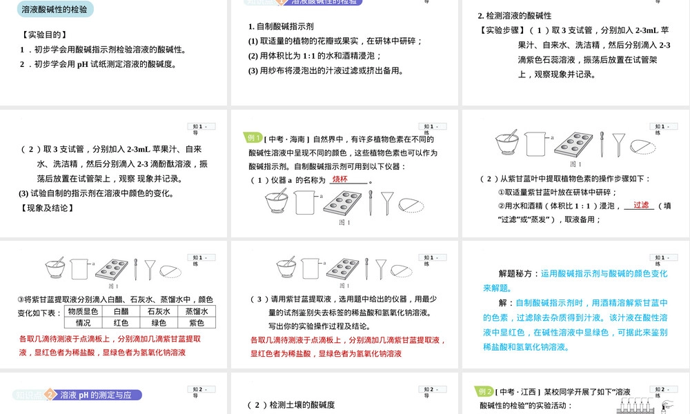 第十单元实验活动7溶液酸碱性检验教学PPT课件.pptx